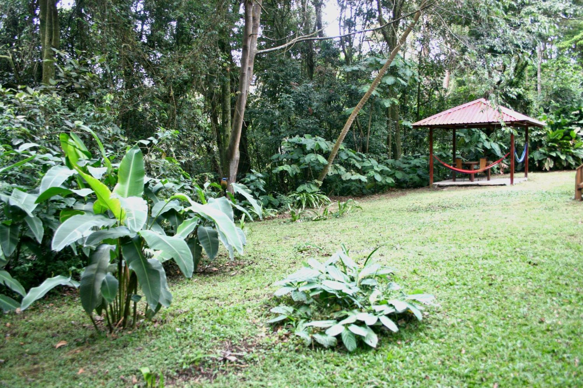 Forest Garden House Монте-Верде Экстерьер фото